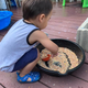 Illustration for article titled Let Your Toddler Play With Birdseed